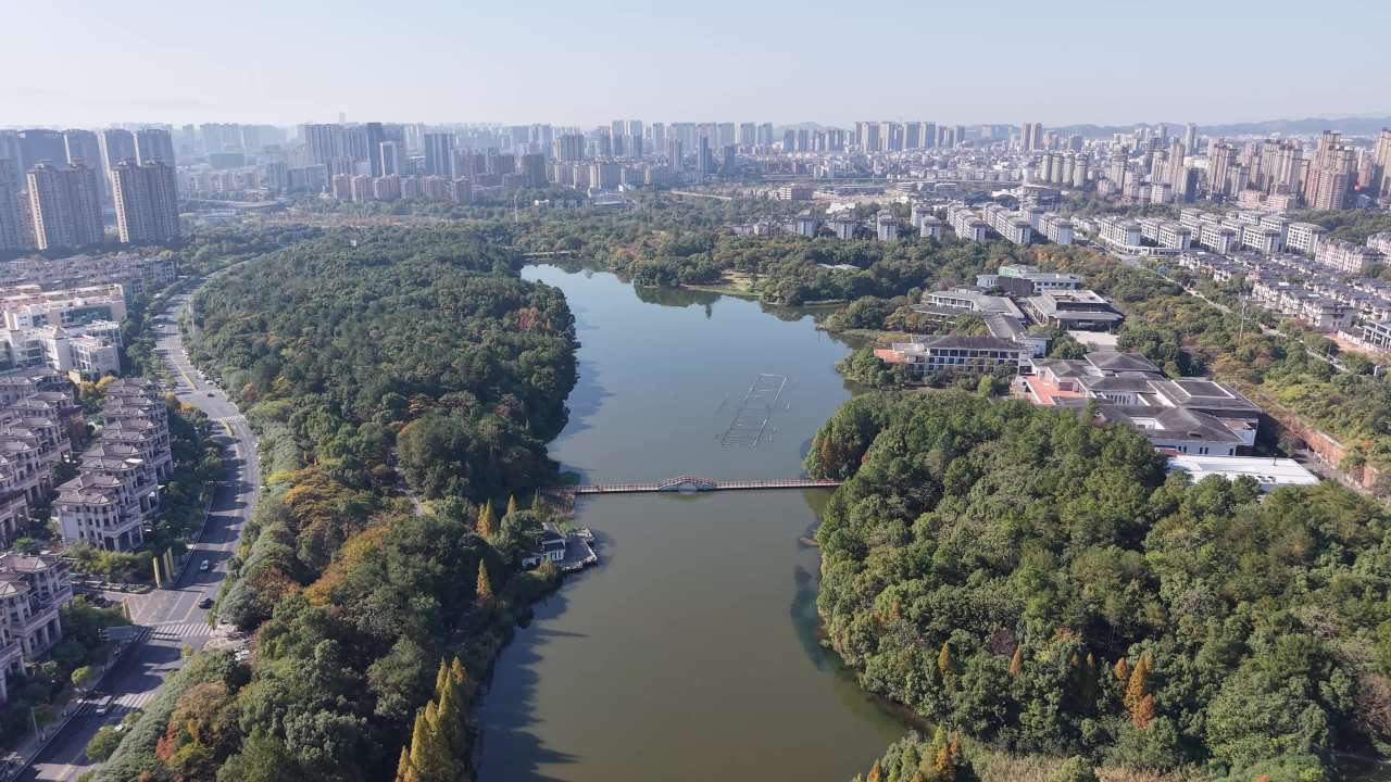 城市湖畔的宁静时光