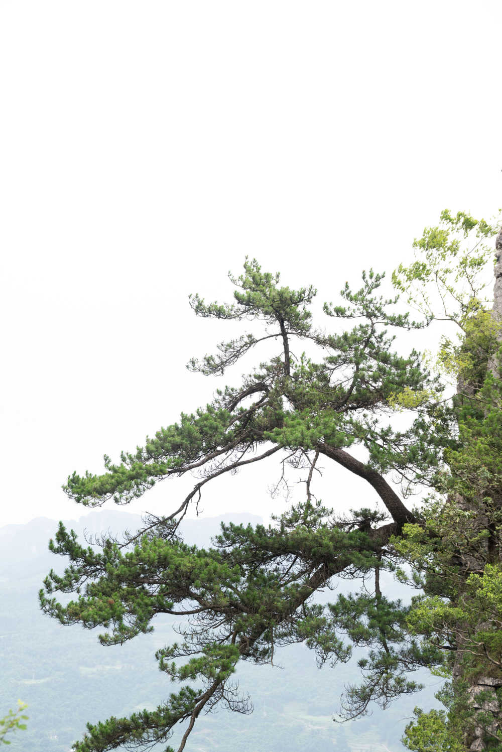 恩施大峡谷
