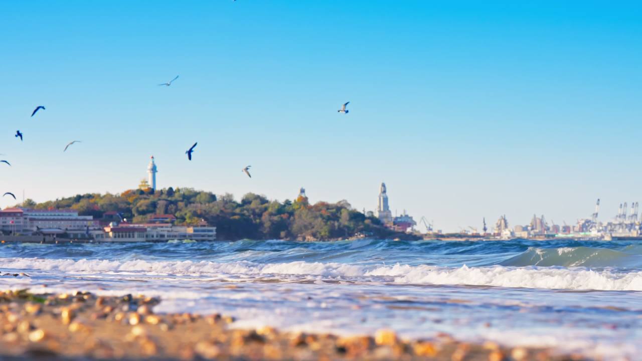 海滩晨景：海鸥与灯塔的和谐画卷