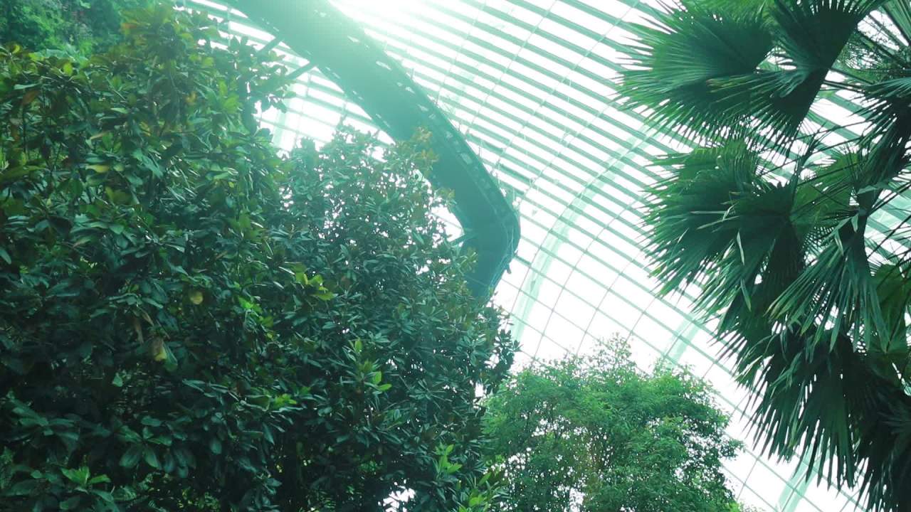 新加坡植物园