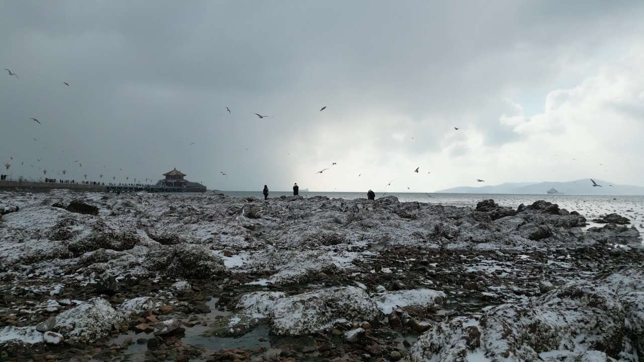 青岛市南老城区栈桥海边雪景航拍 20