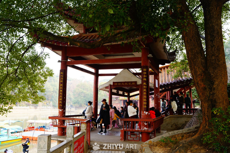 合照 7