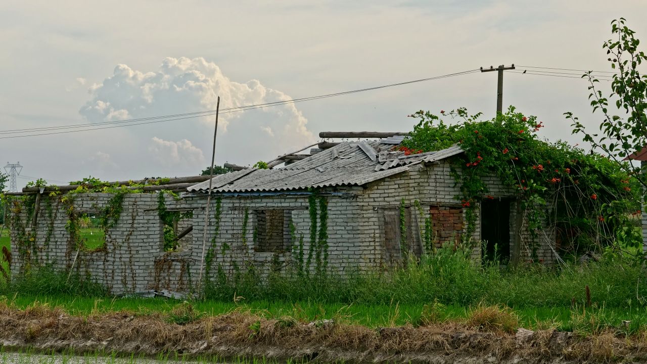 白云稻田和小屋
