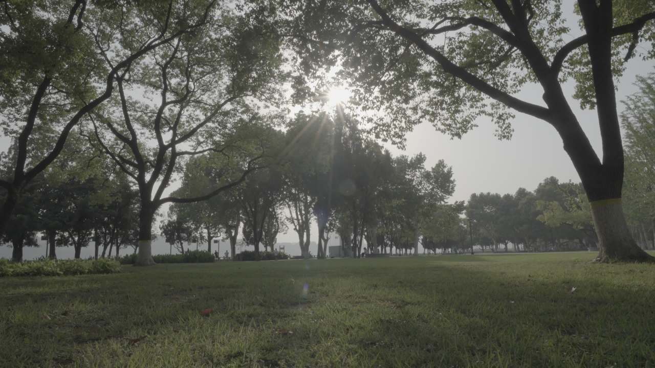 宜昌江边 14