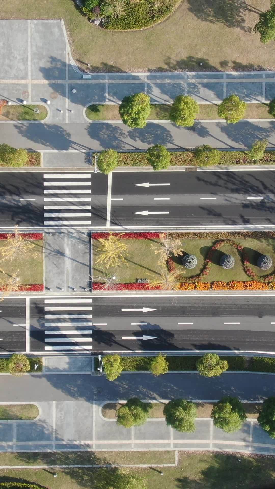 清晨城市道路航拍