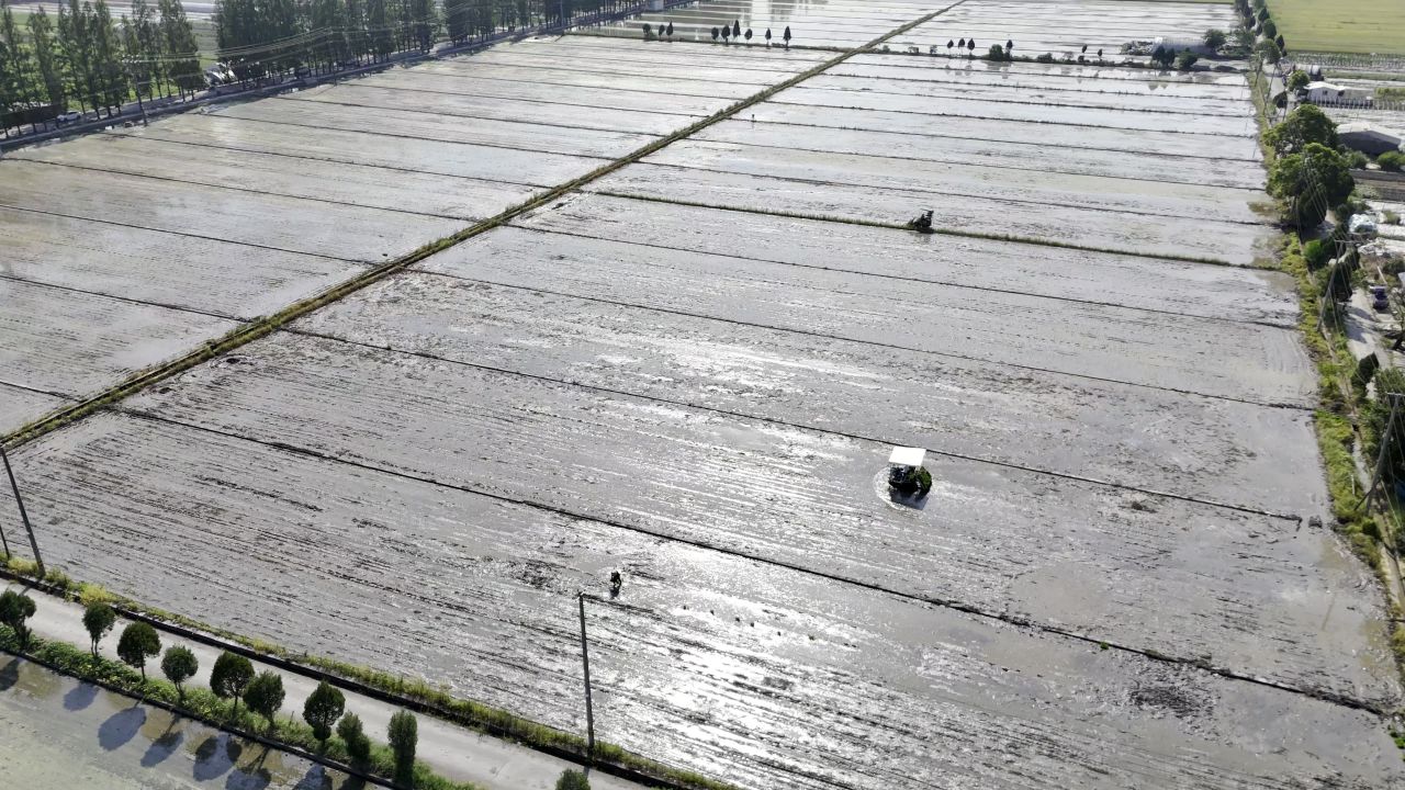 立秋浓忙 6