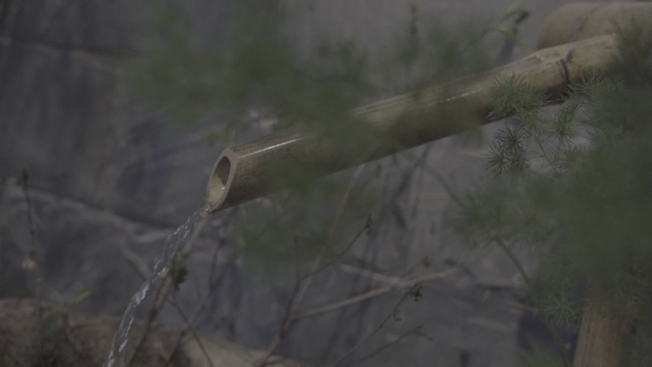 茶馆 16