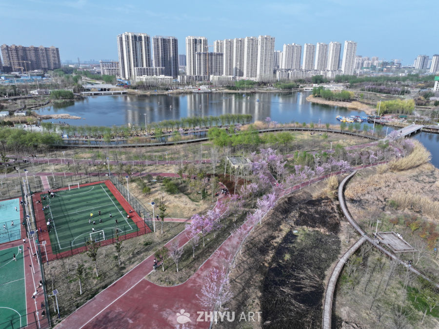 城市公园春日景象
