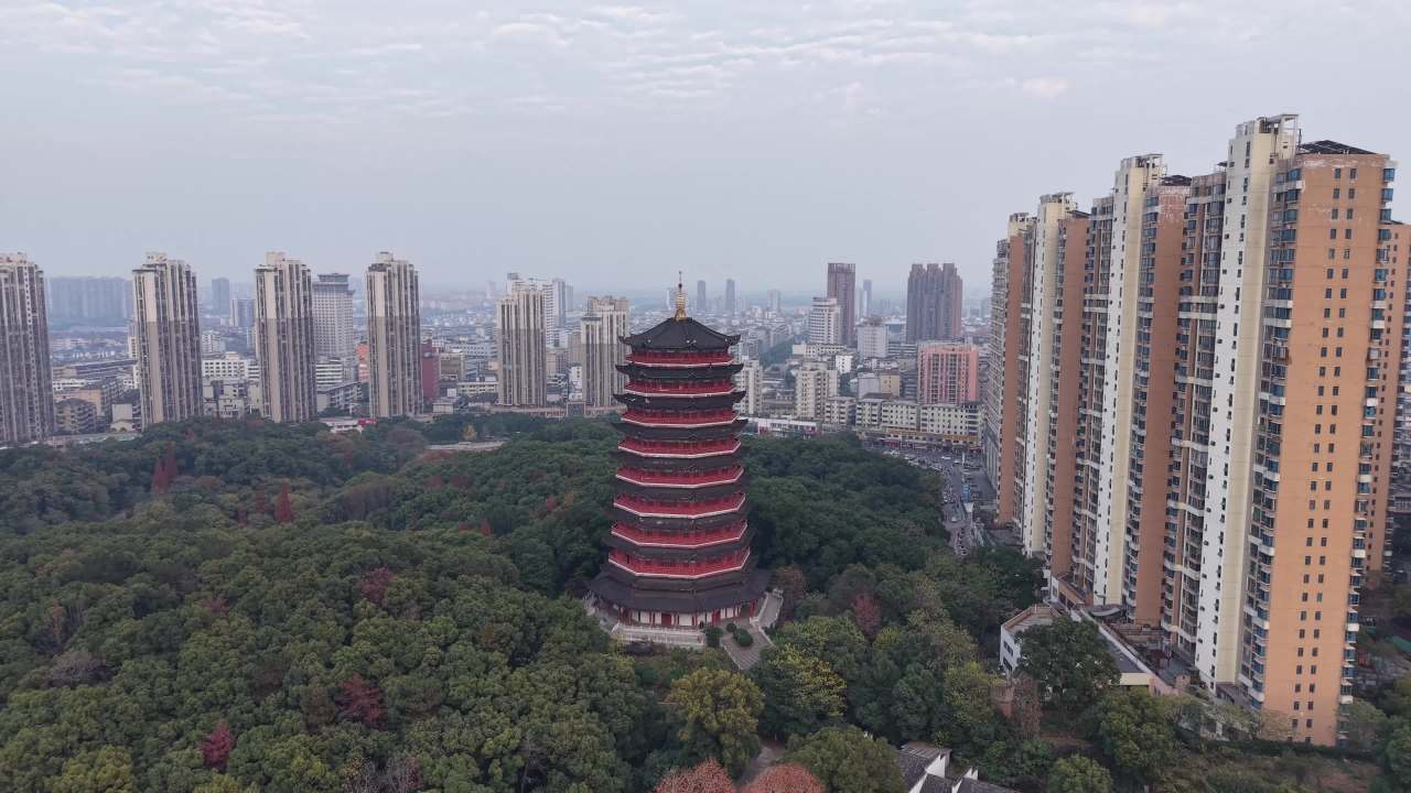 塔楼与城市的和谐共存