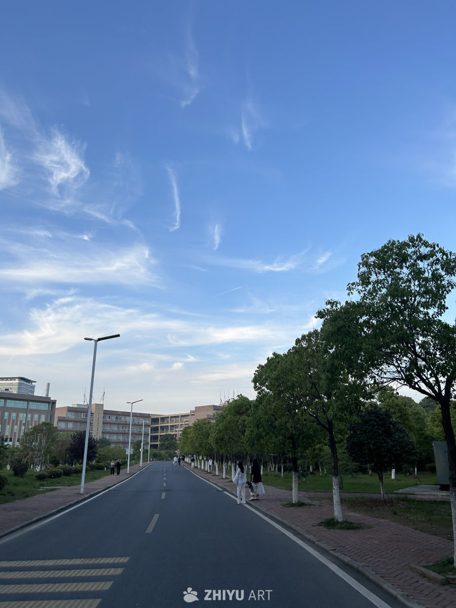 阳光下的校园路景
