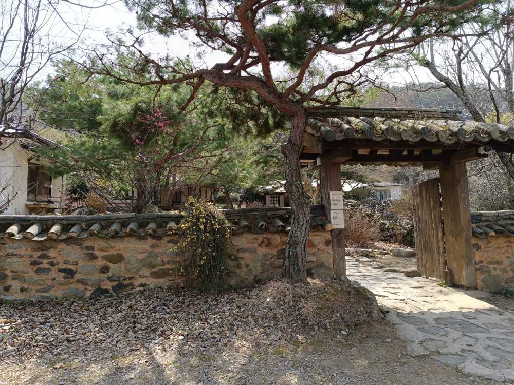 茗可隐传统茶