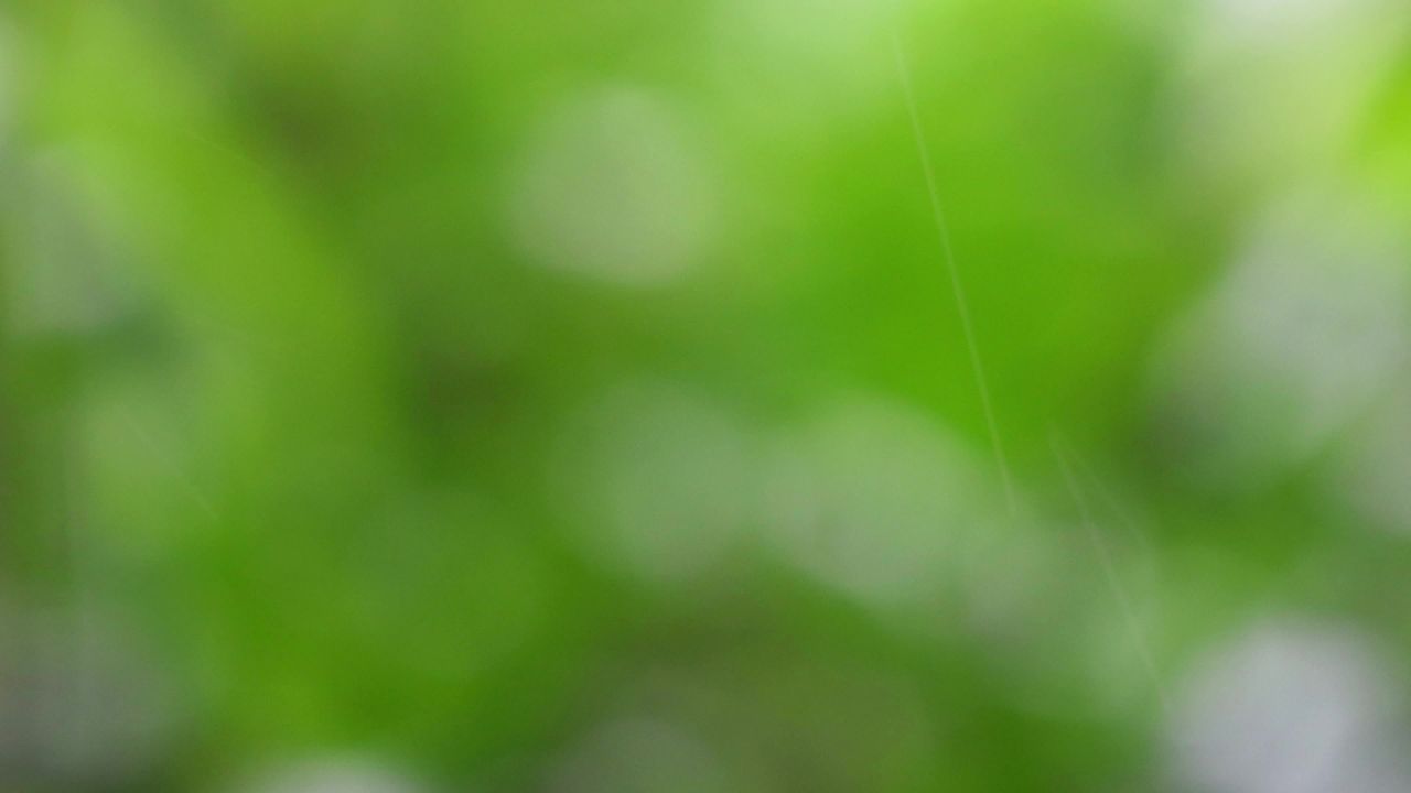 4K春雨细细