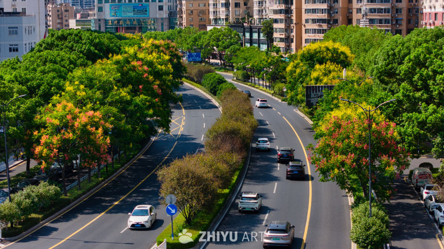 春日城市道路风光