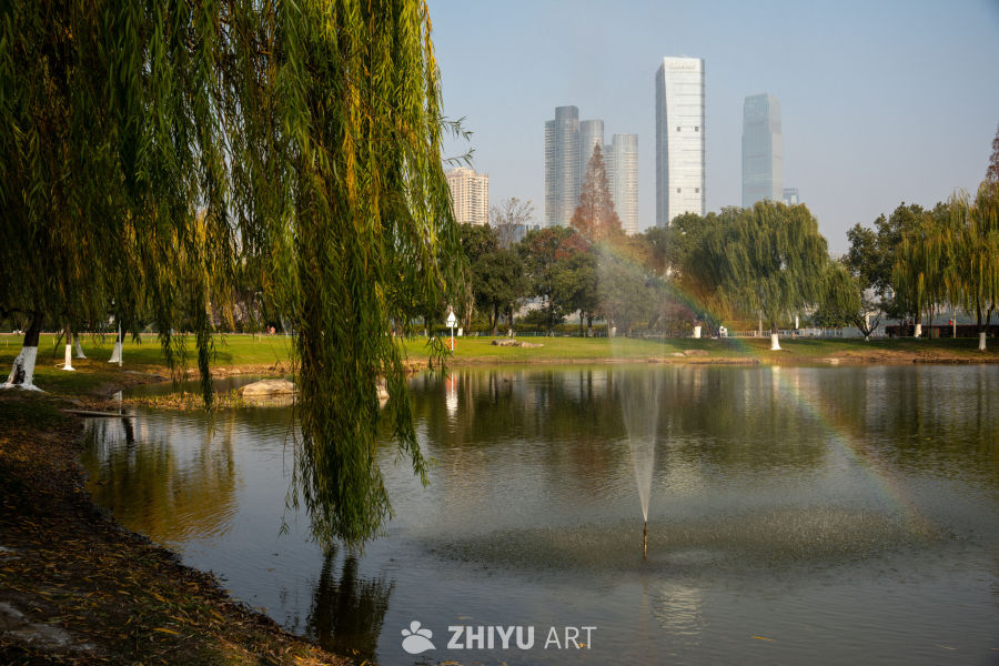 城市公园湖畔秋景