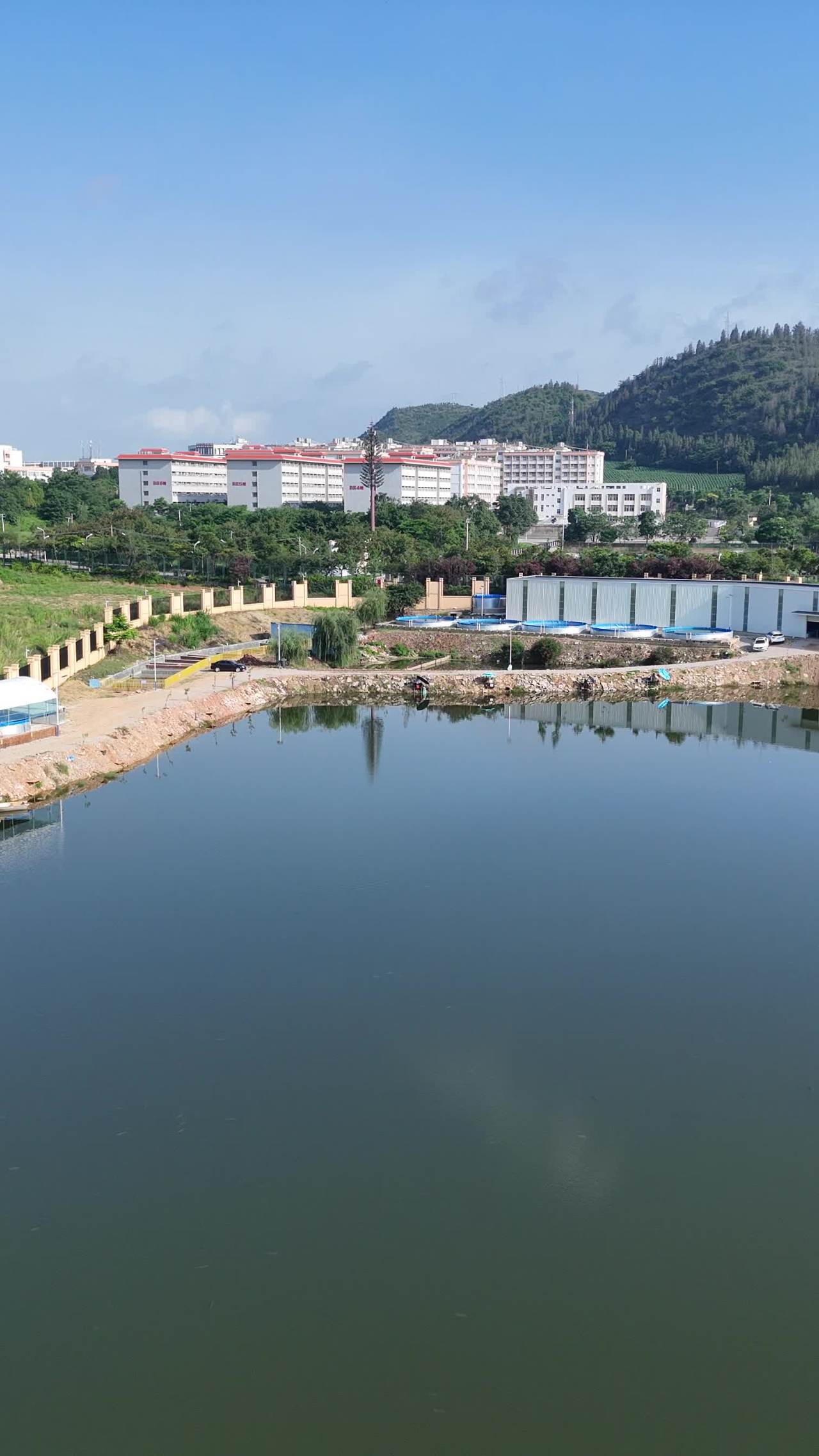 湖畔静谧景色