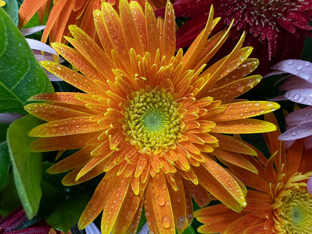 花