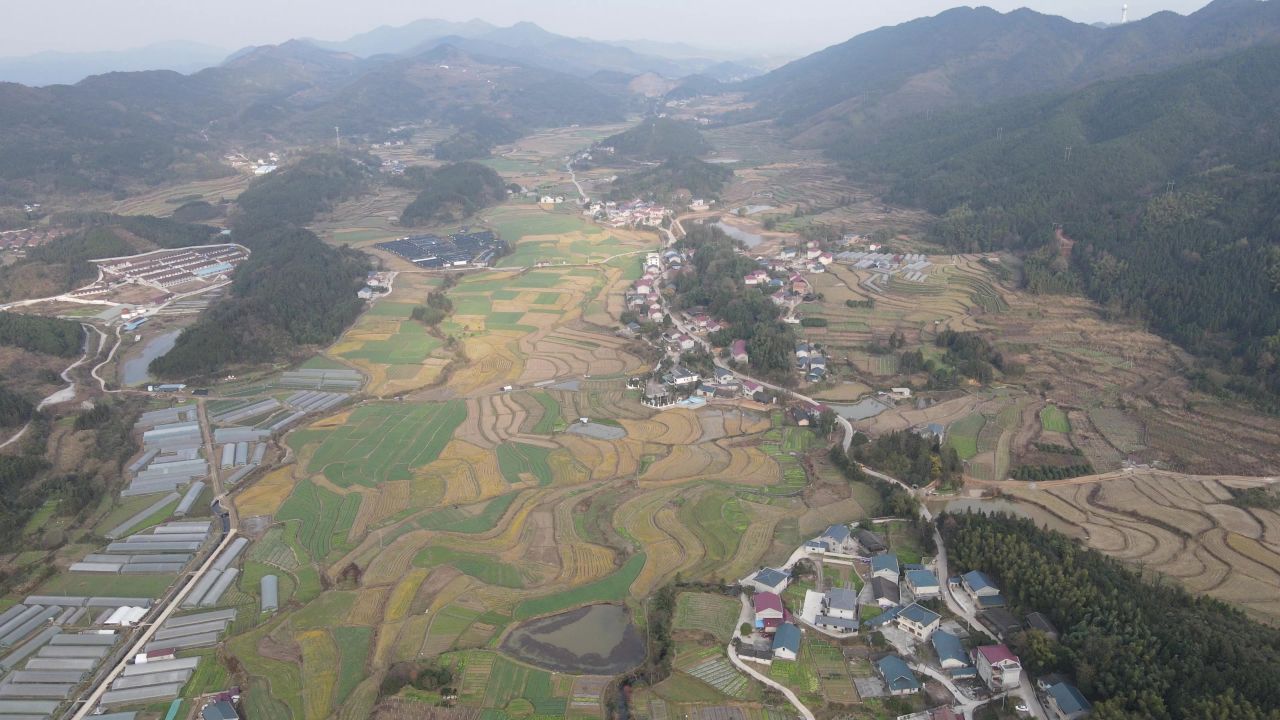 航拍乡村田园农业种植基地
