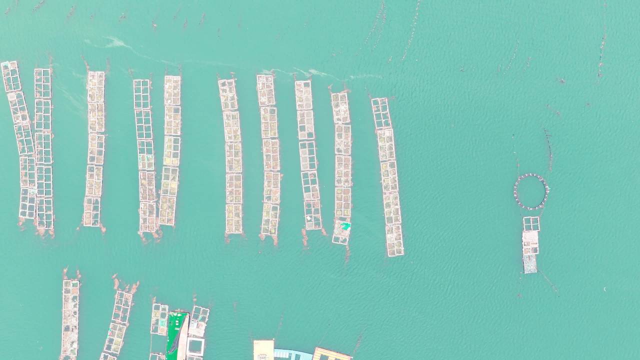 航拍长海岛港口码头