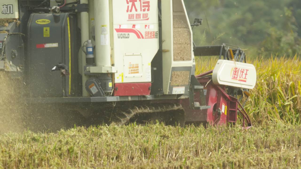 农用机械收割机三农丰收 11