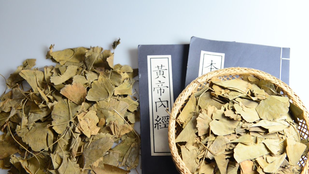 银杏树叶  10