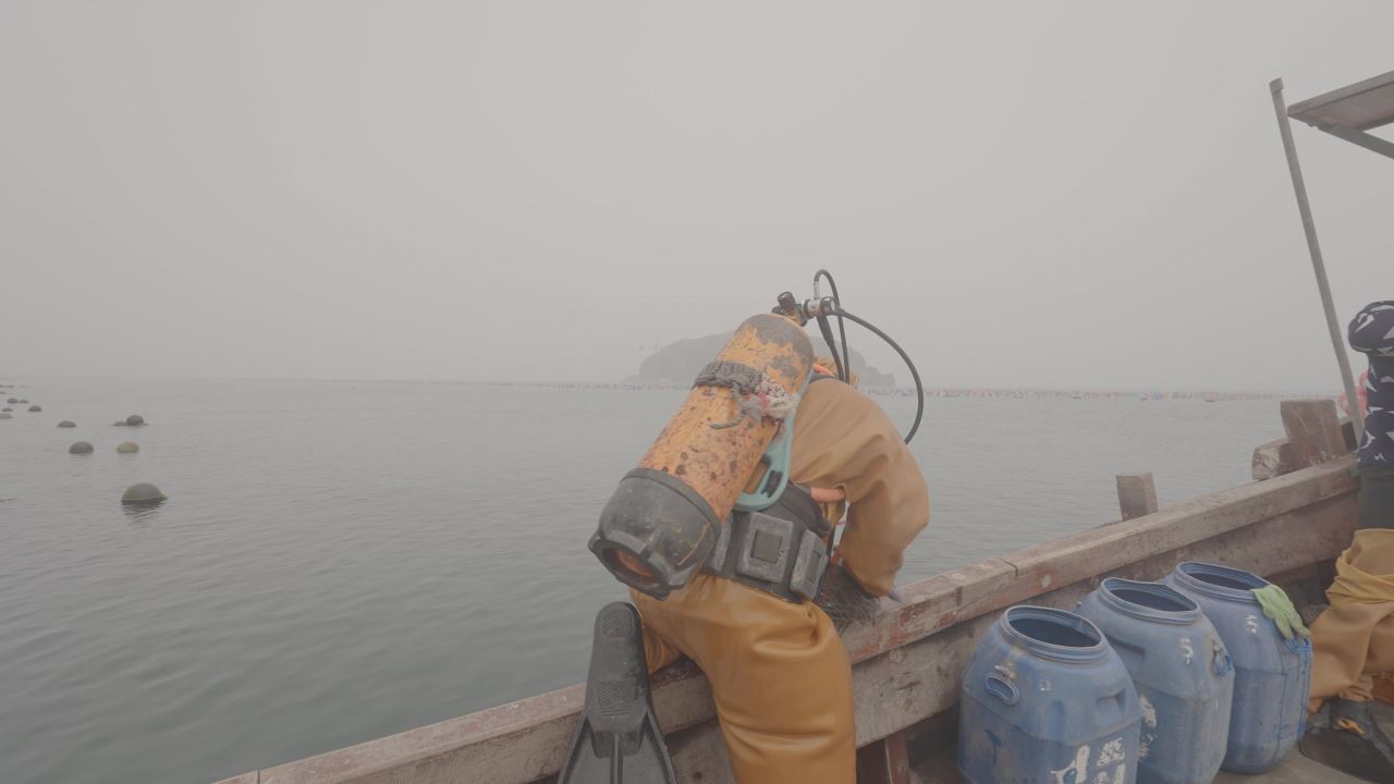 海参捕捞与渔民潜水作业