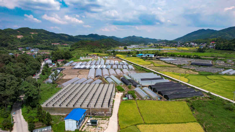 山川丘陵农田农业种植美丽乡村航拍 