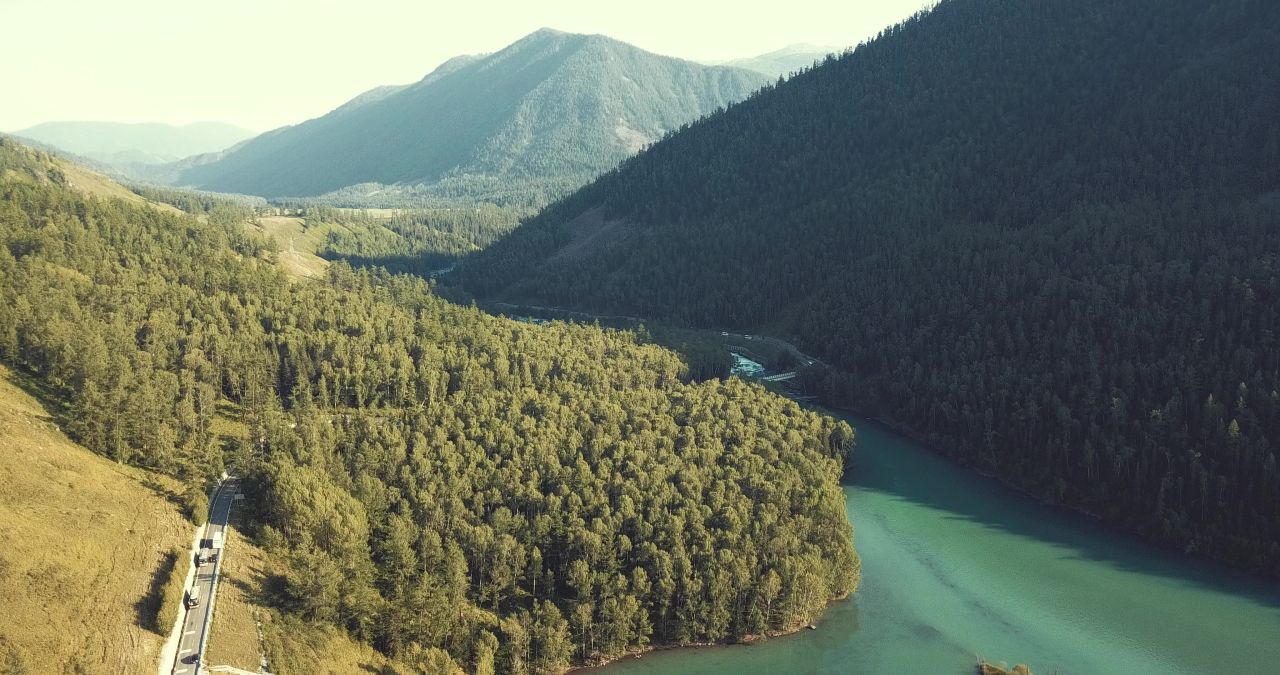 森林与河流