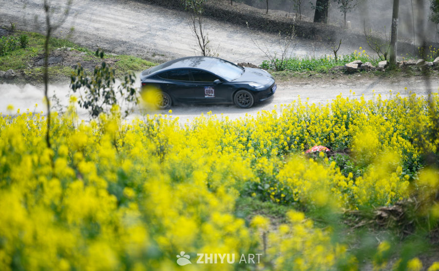 公路汽车 4