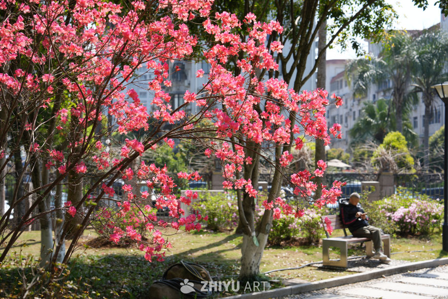 春日公园的静谧时光