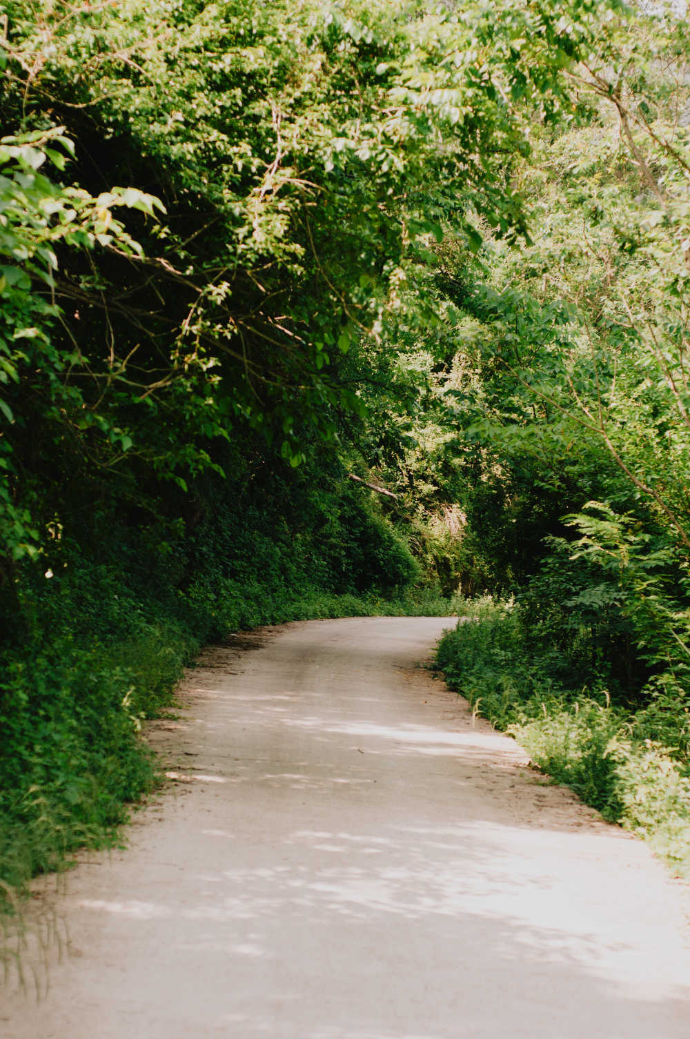 路