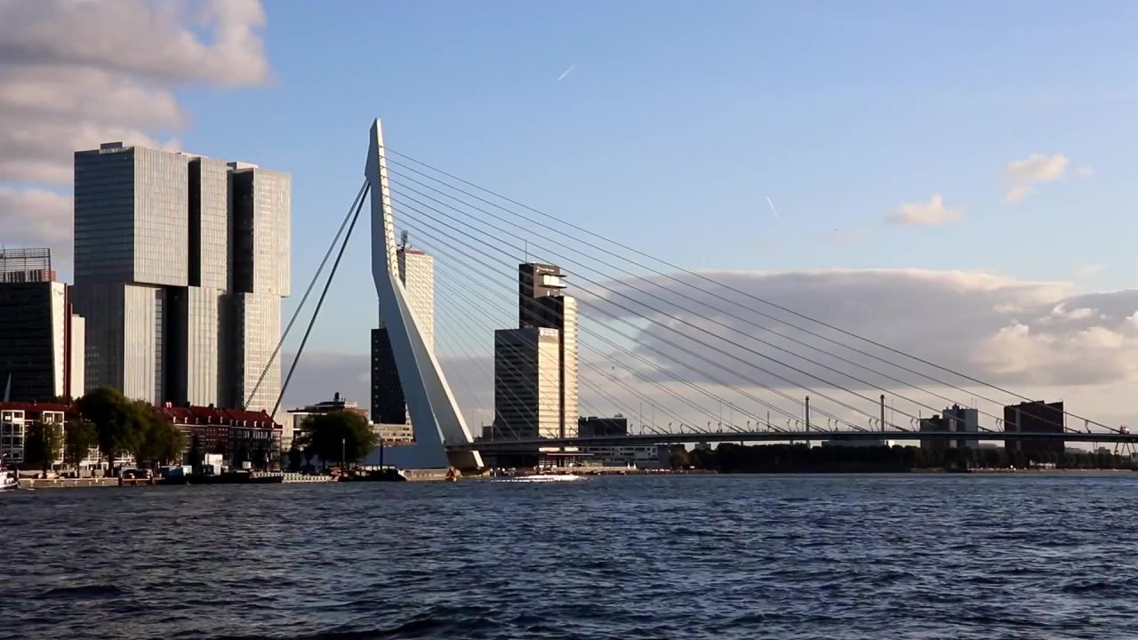 鹿特丹桥城市荷兰