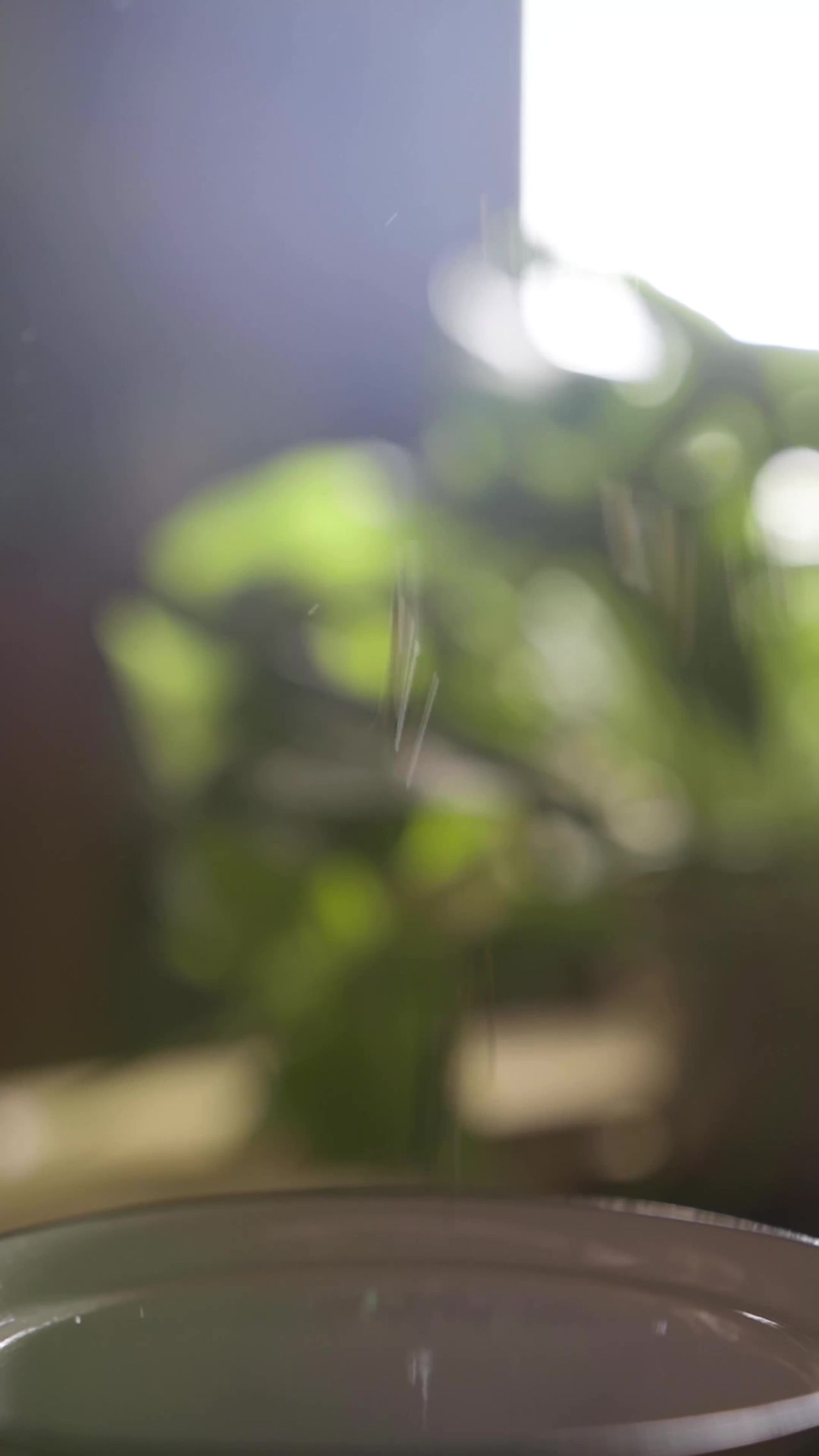 阳光下的水滴