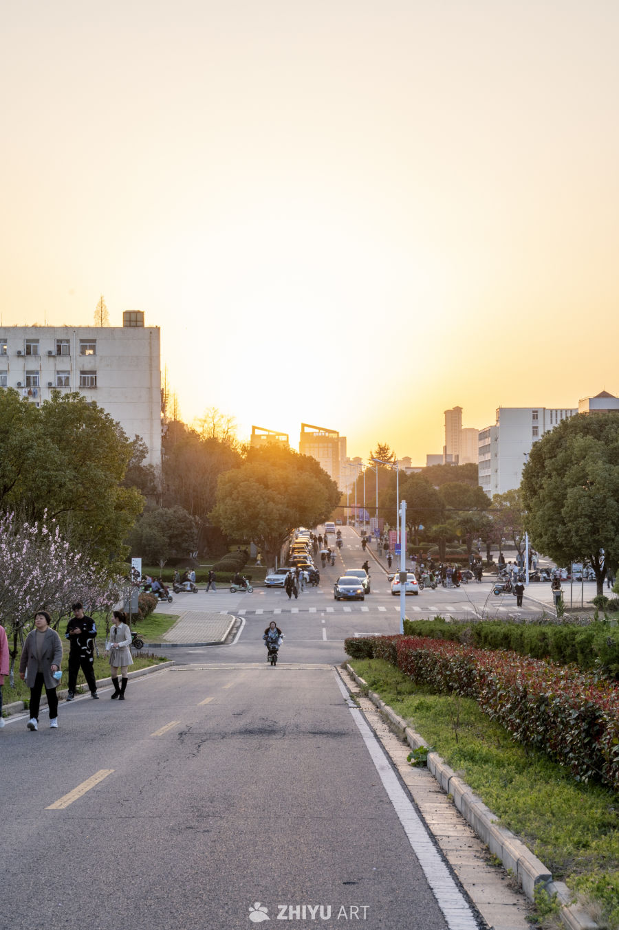 日暮公园 14