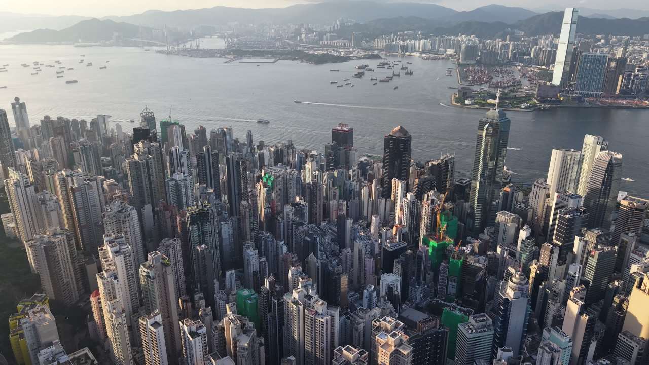 维港 14