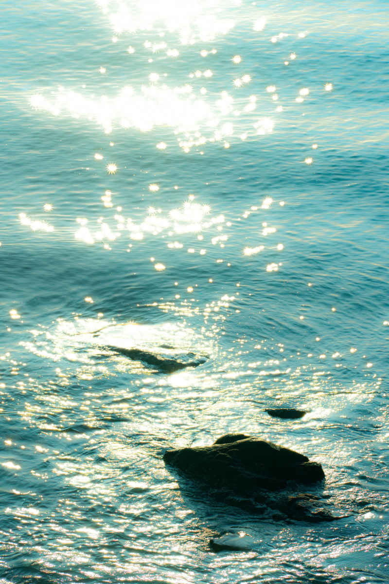 海
