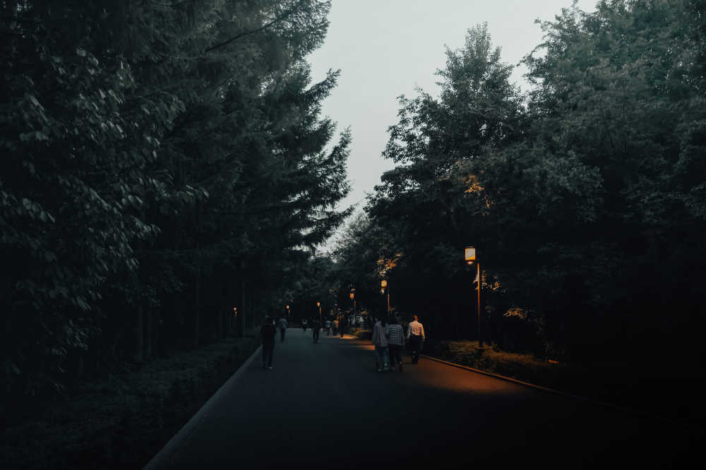 公园的夜色