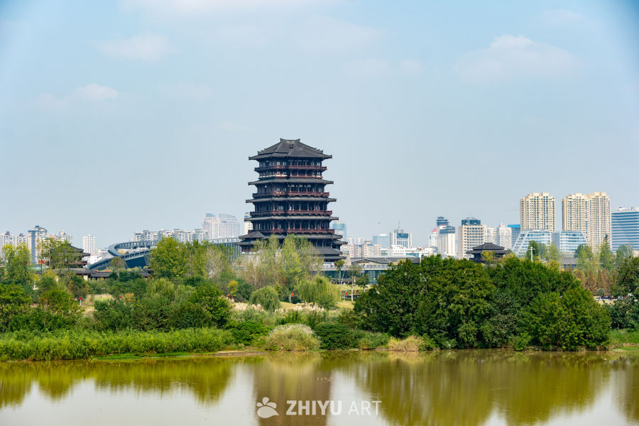 汉江湿地公园 44