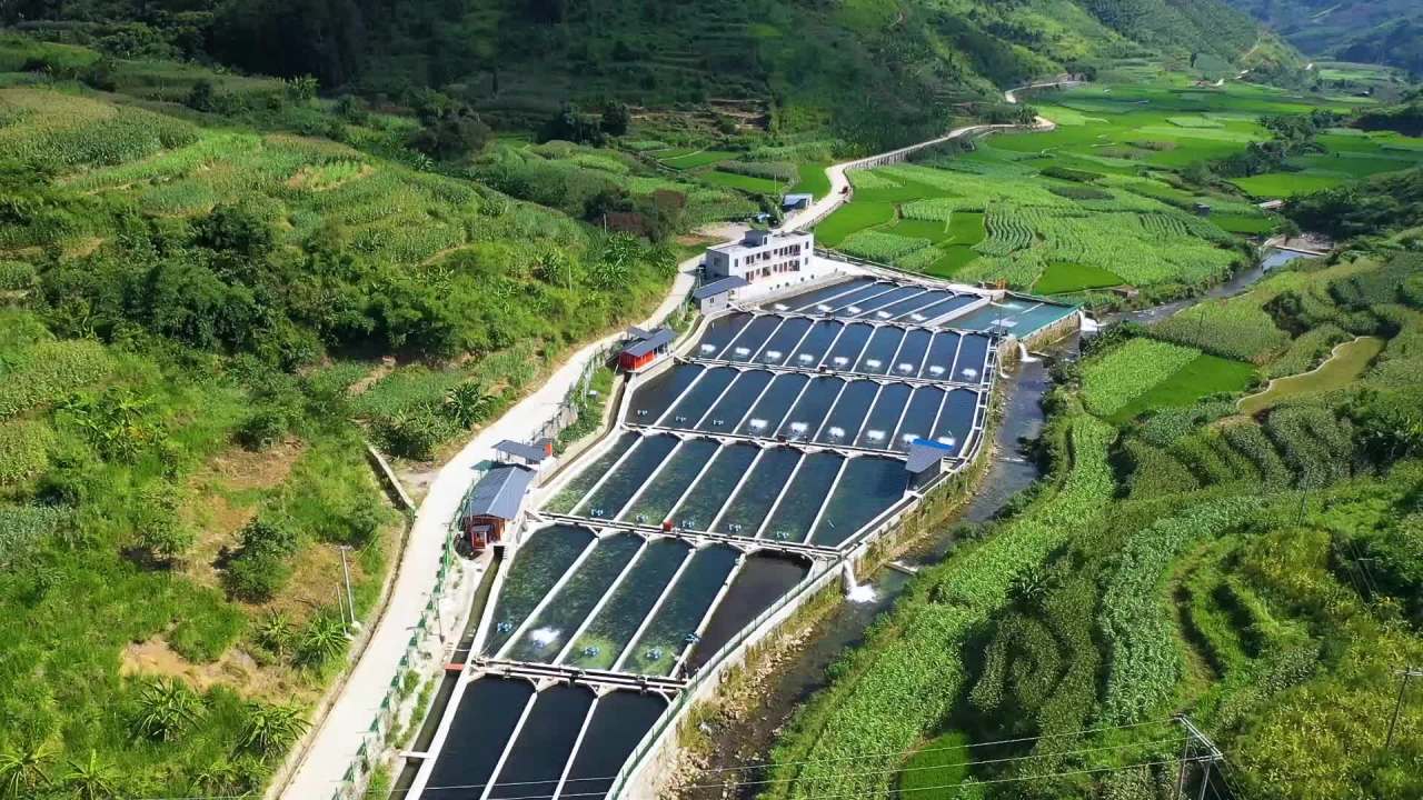 大山里淡水鱼生态水产养殖养鱼基地渔业航拍