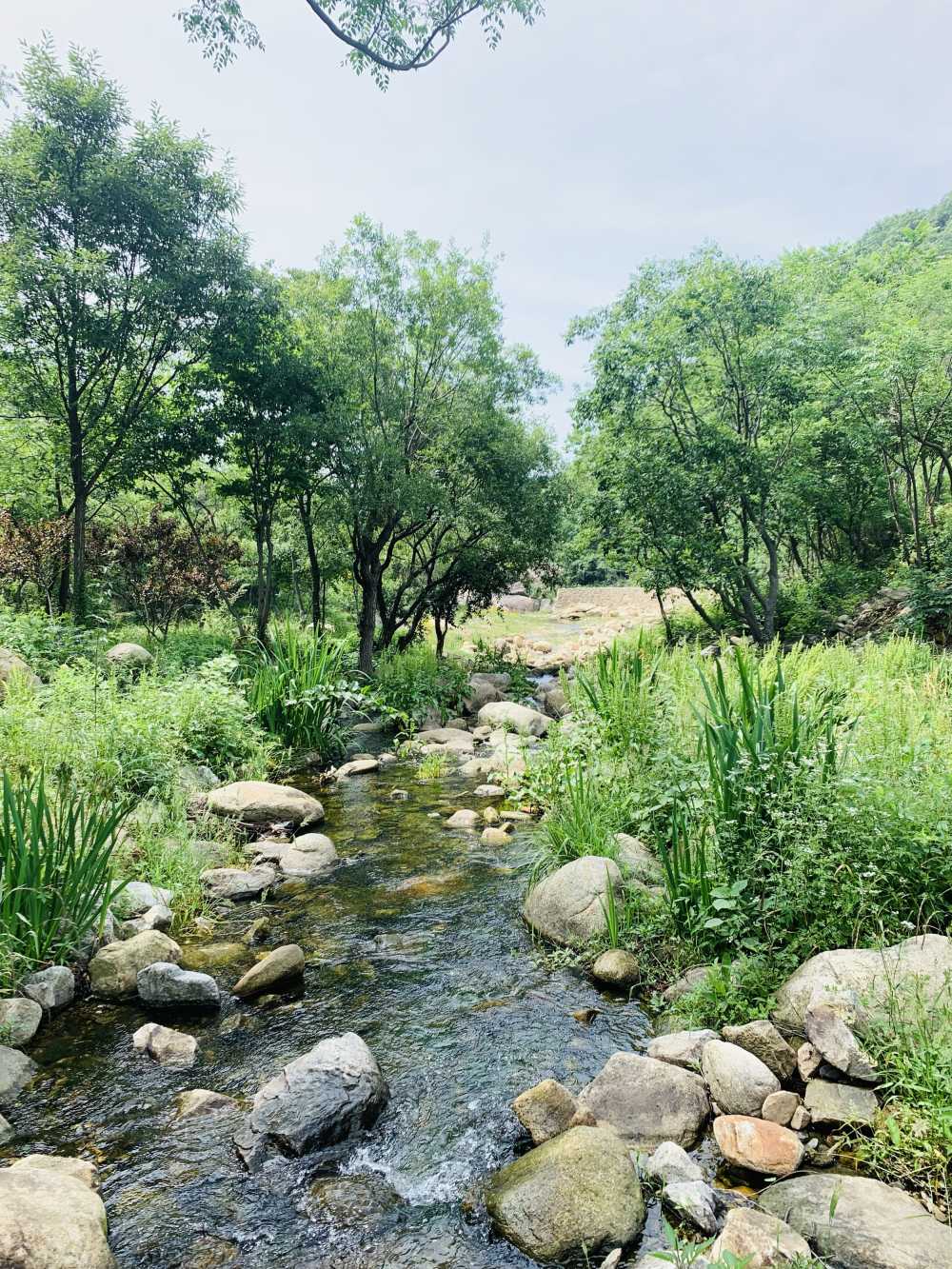 水路