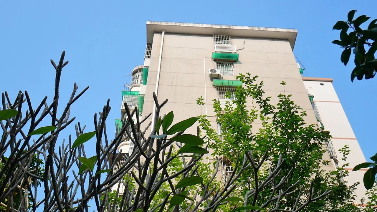 鸡蛋花树桑树和居民楼