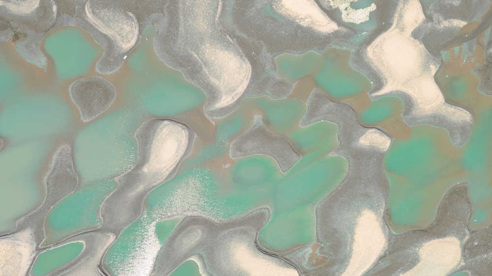 武汉天兴洲湿地
