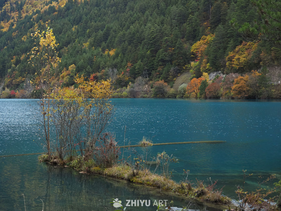 川西九寨/毕棚沟/四姑娘山 27