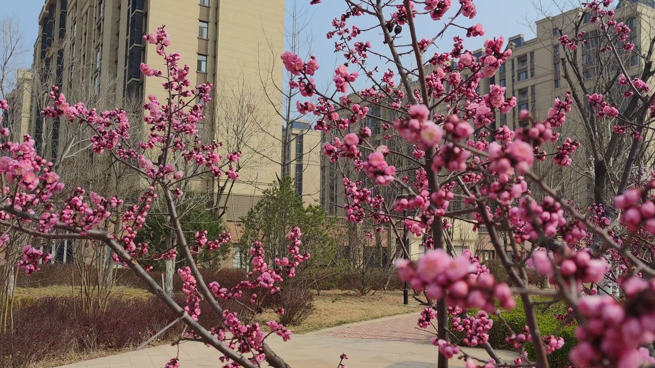 春景