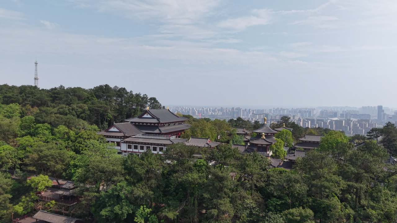 南宁 19