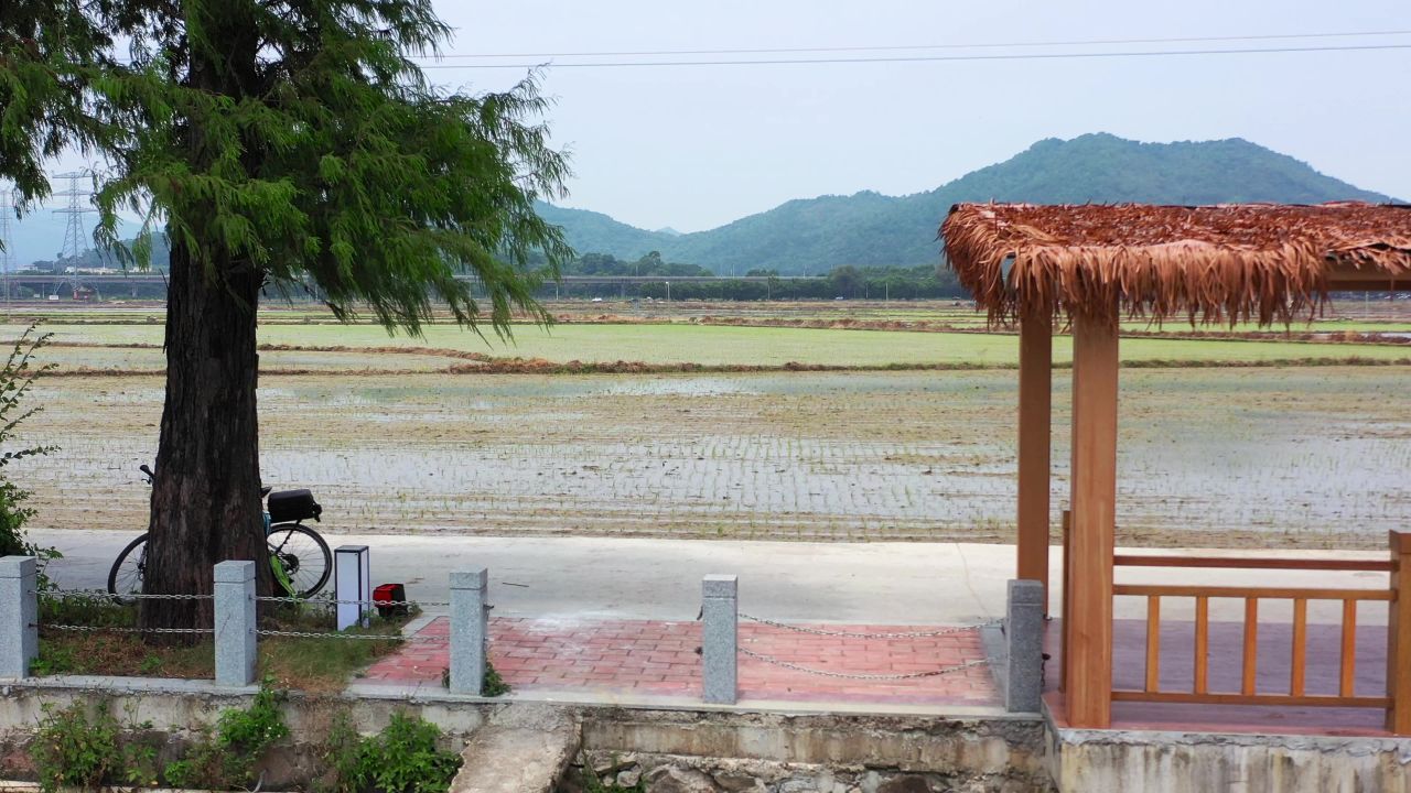 稻田边上的休闲区