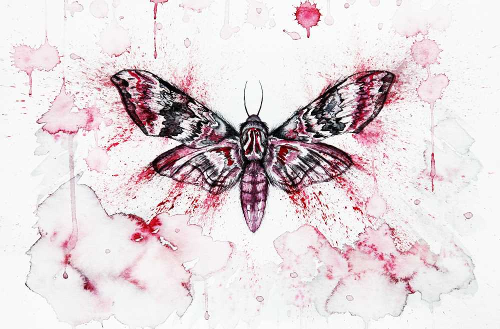 红色蛾蝴蝶昆虫蛾类水彩艺术美术画爬行背景创意