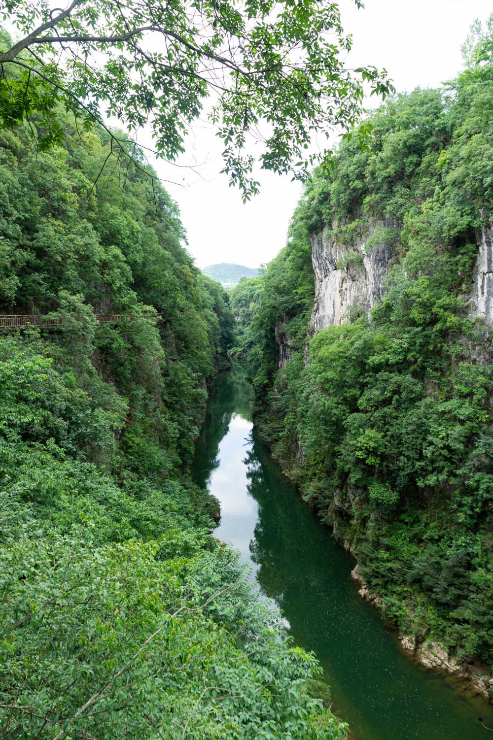 贵州洒金谷峡谷