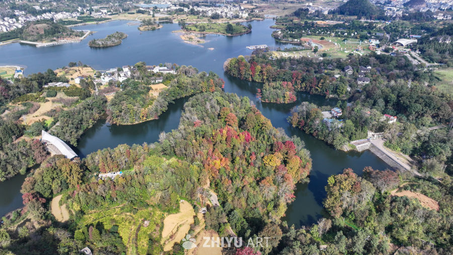 航拍水边枫叶美景  初冬枫叶似火 35