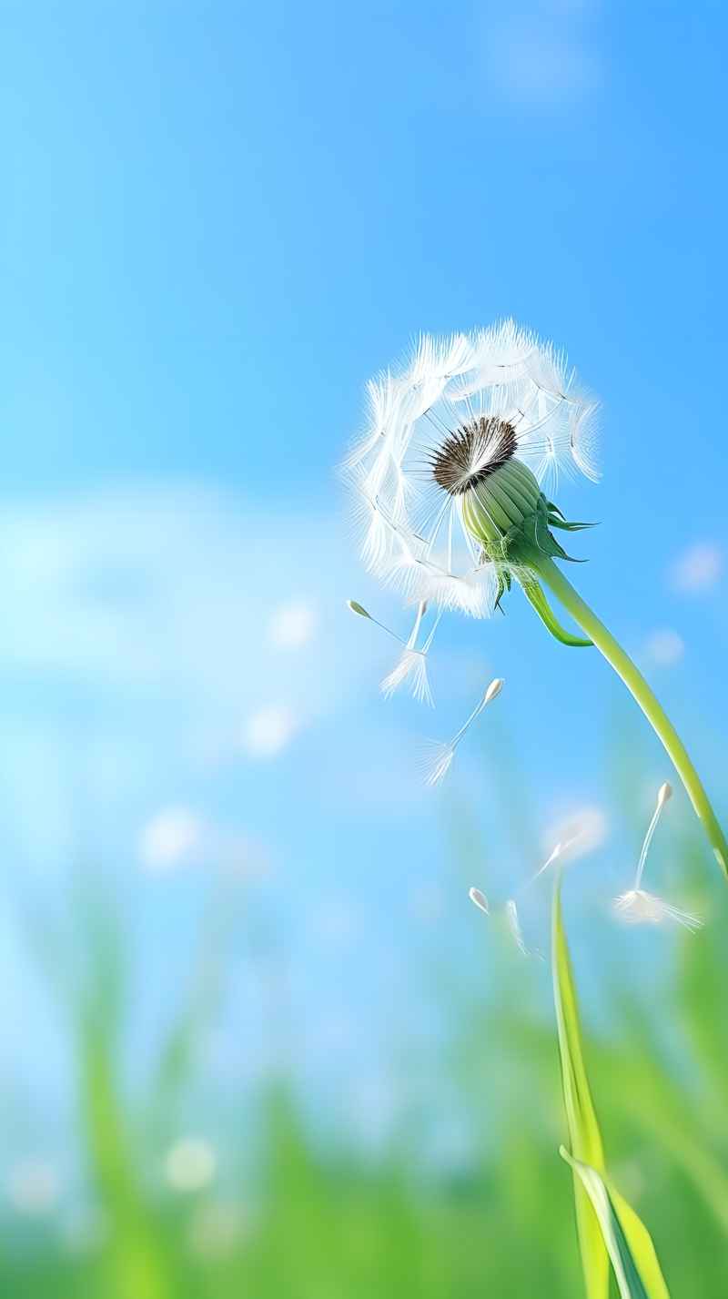 绿色唯美自然小草背景图 20