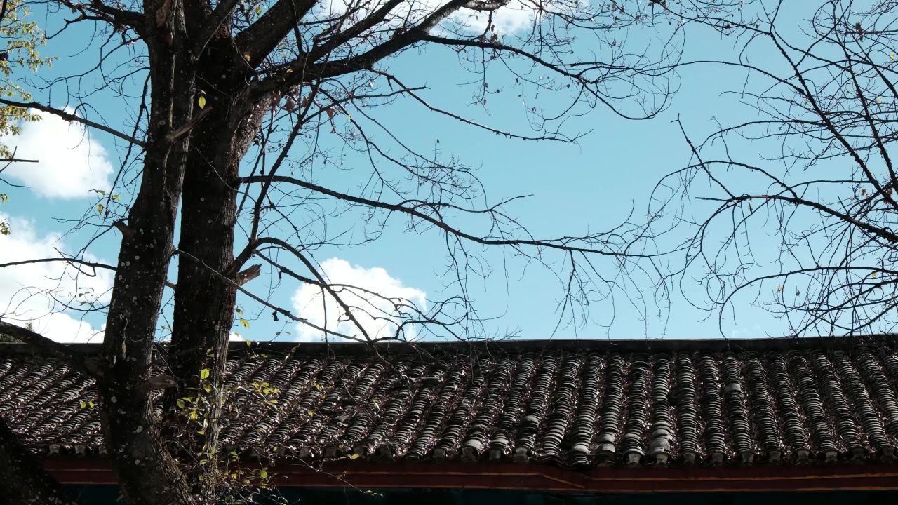 川西风景 3